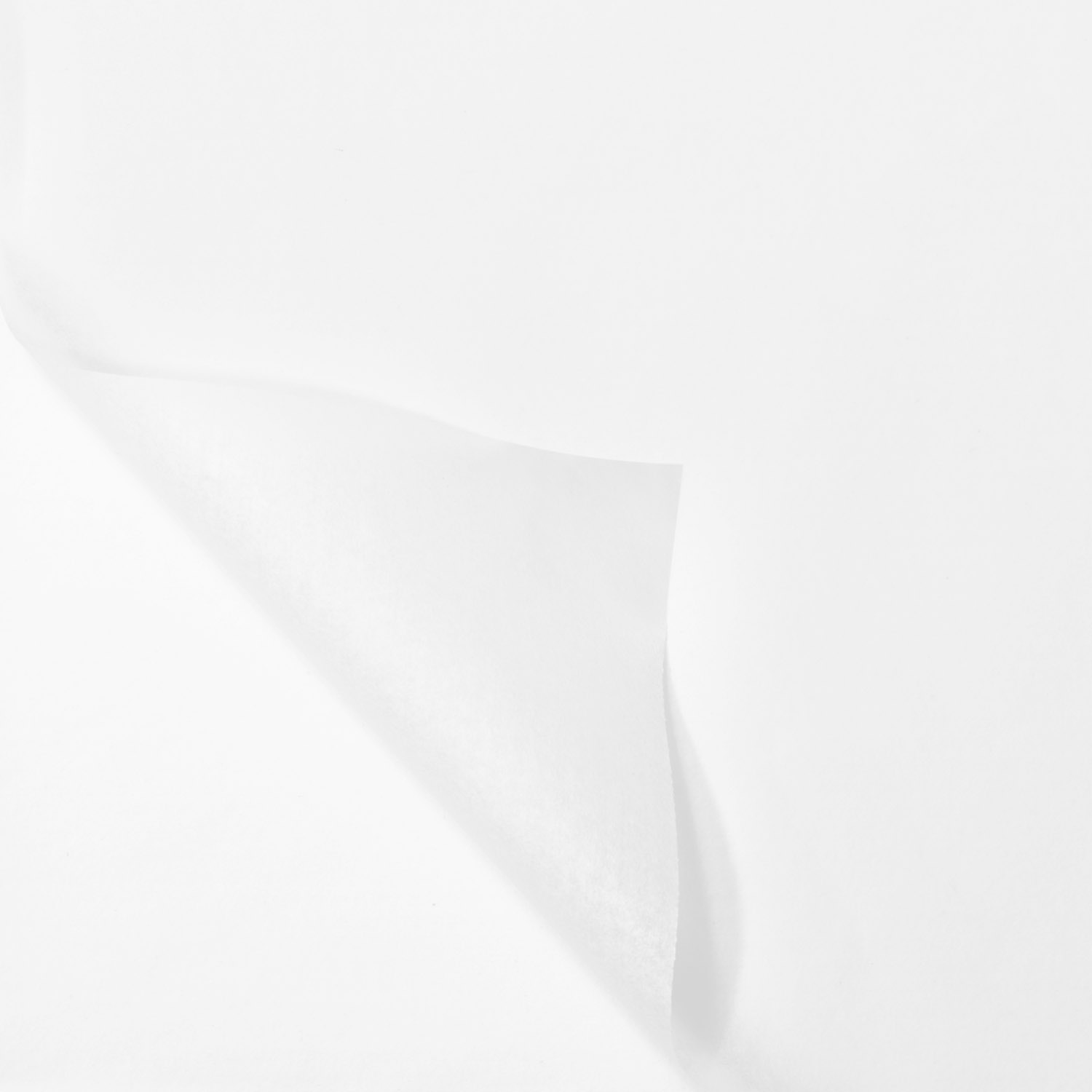 Zijdevloei, 75x50cm, papier, wit 1